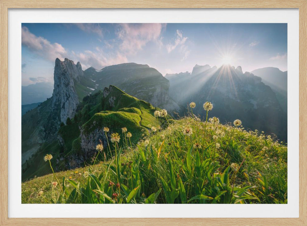 High Summer | Poster