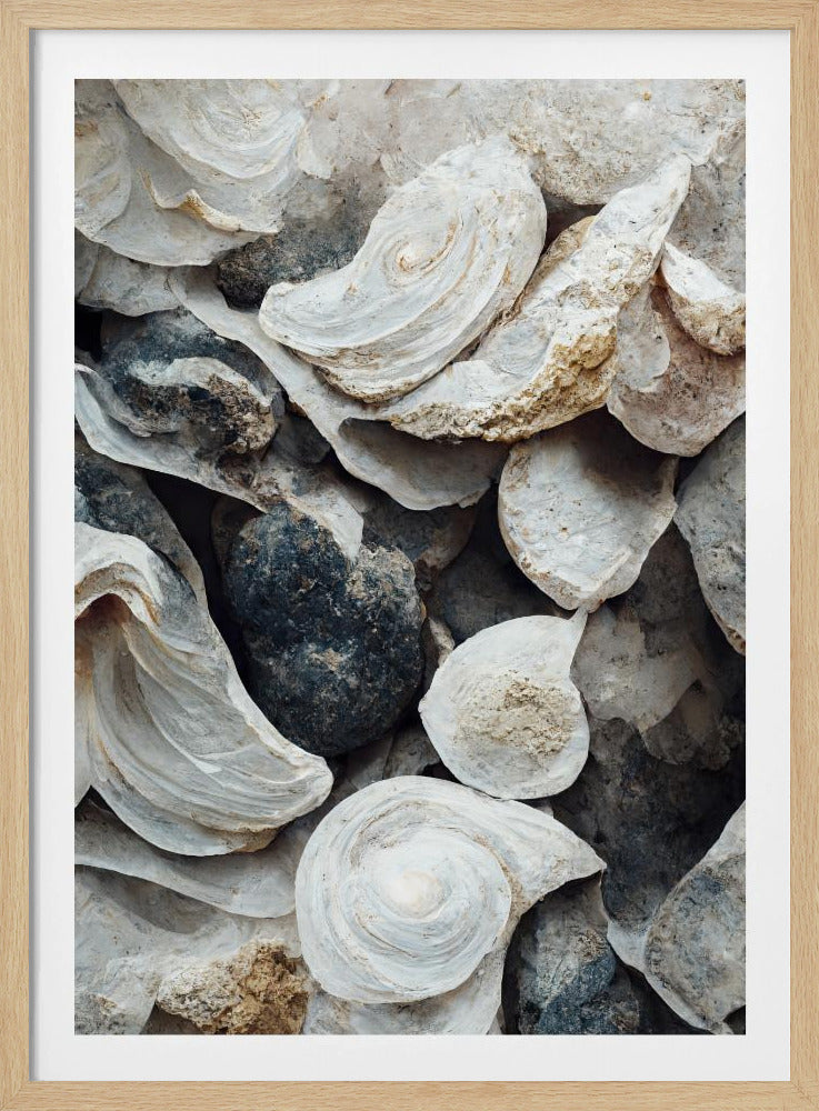 Shells and Stone | Poster