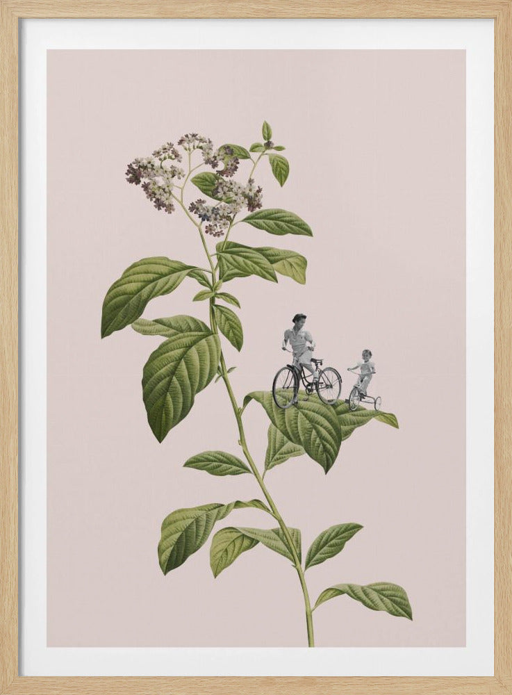 Botanical cycling | Poster