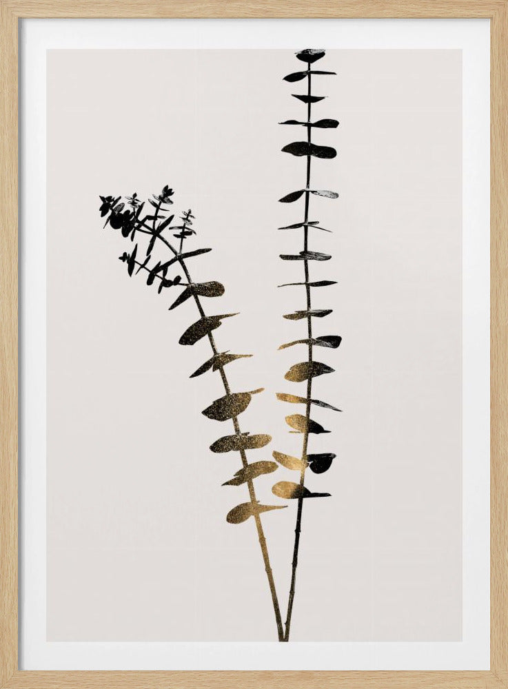 Eucalyptus Dark Gold | Poster