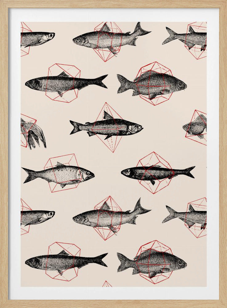 Fishes In Geometrics Nº4 | Poster