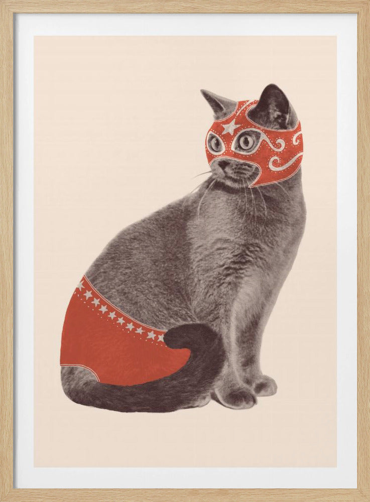 Chat Catcheur | Poster