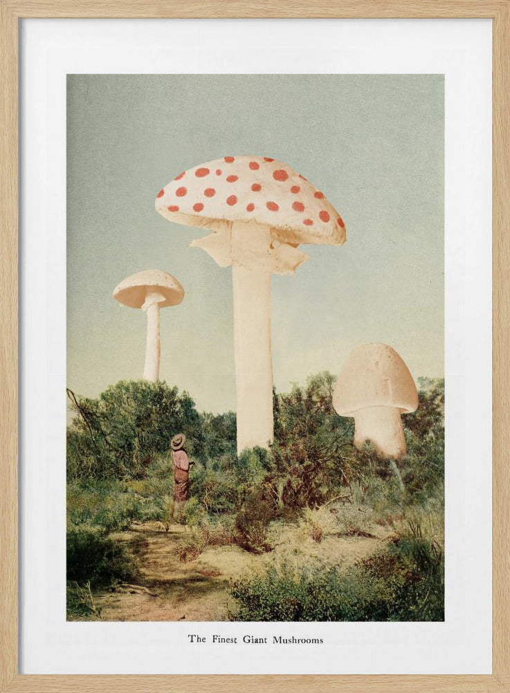 The Finest Giant Mushroom | Poster