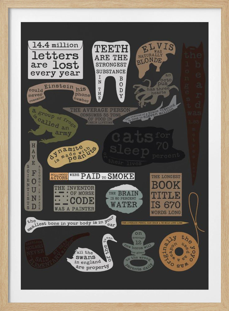 Useful Facts | Poster