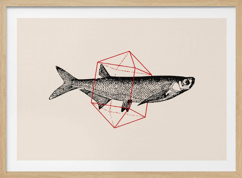 Fish In Geometrics Nº2 | Poster