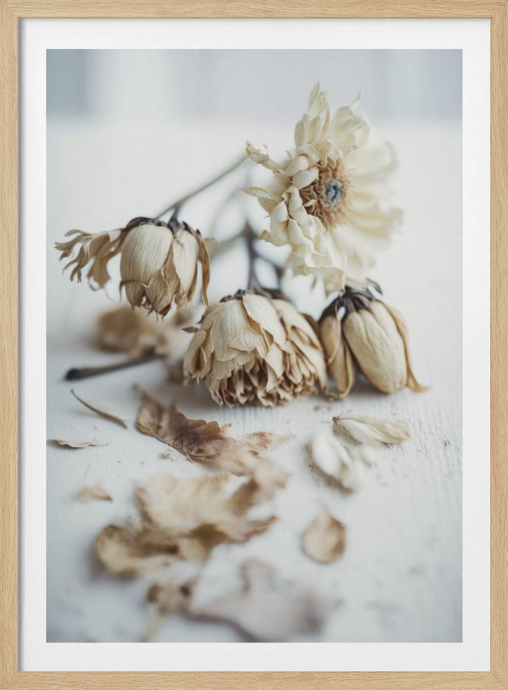 Faded Elegance | Poster