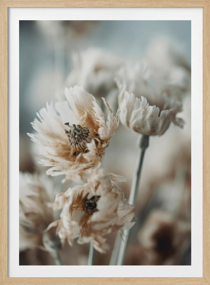 Whispering Petals | Poster