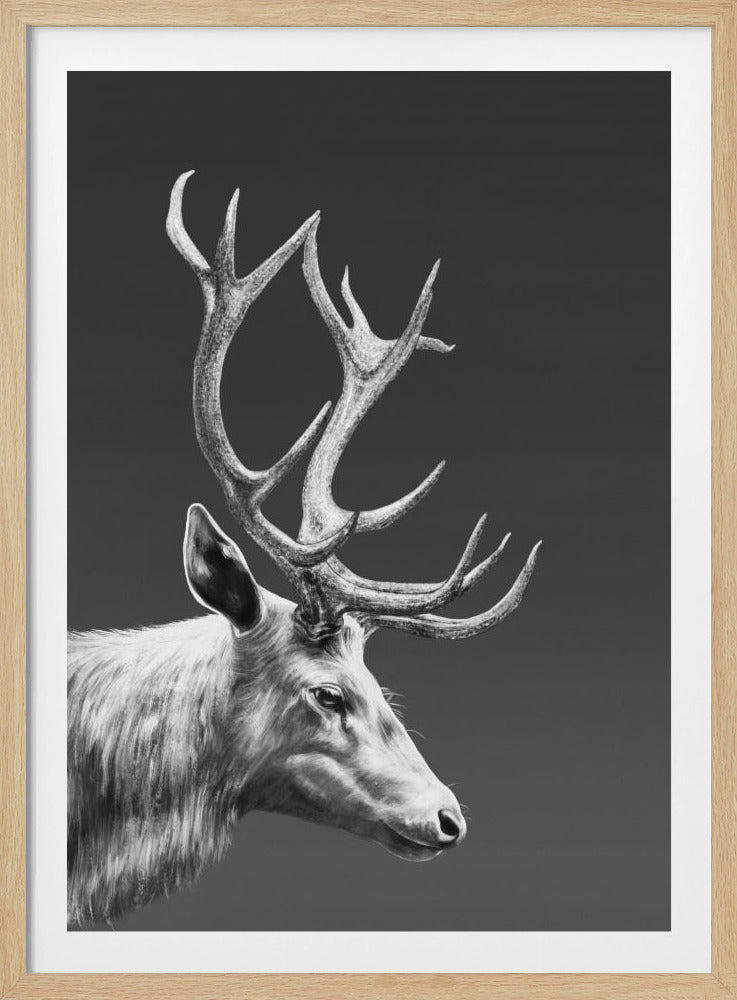 Reindeer | Poster