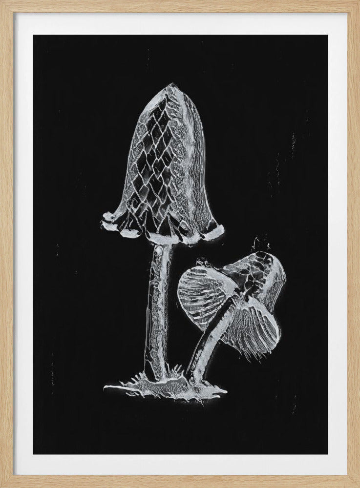 Vintage Inky Cap Edible Mushroom Dark BW | Poster