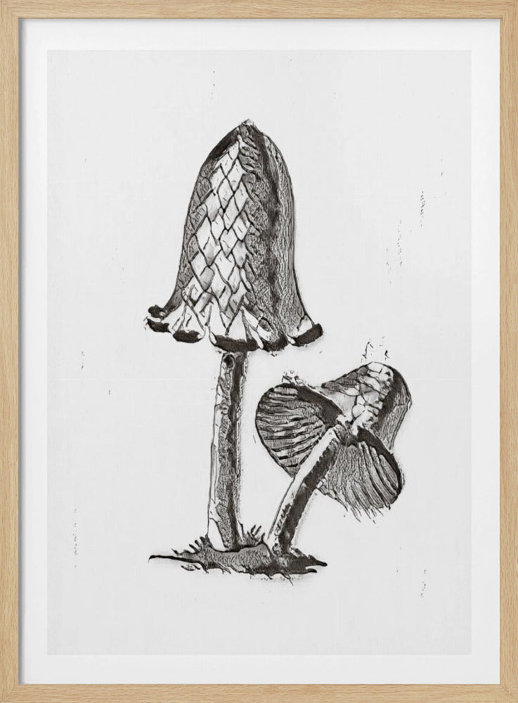 Vintage Inky Cap Edible Mushroom BW Bright | Poster