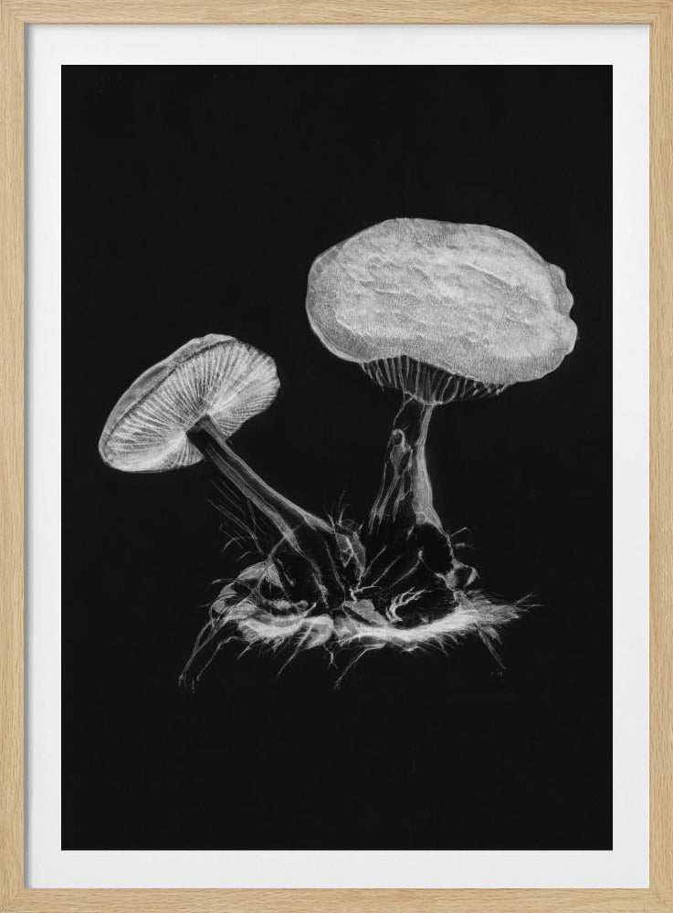 Vintage Violet Webcap Mushroom Dark BW | Poster