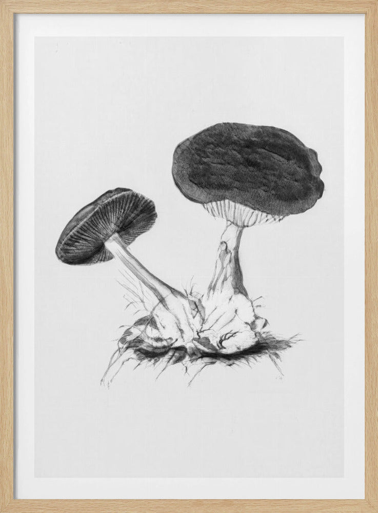 Vintage Violet Webcap Mushroom Bright BW | Poster