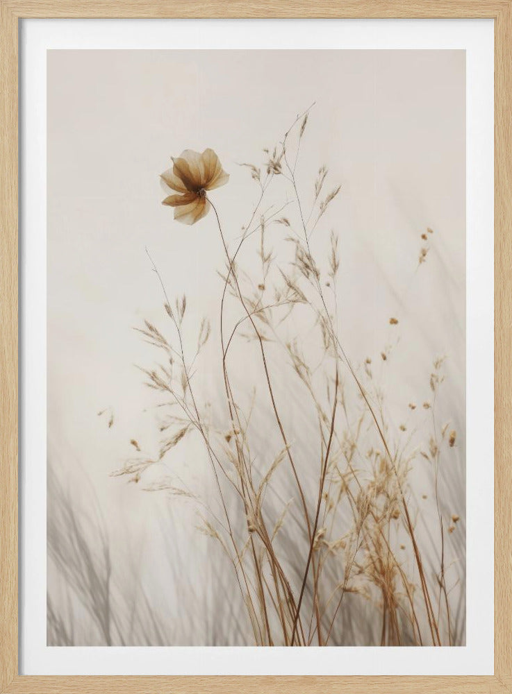 Whispering Petals | Poster