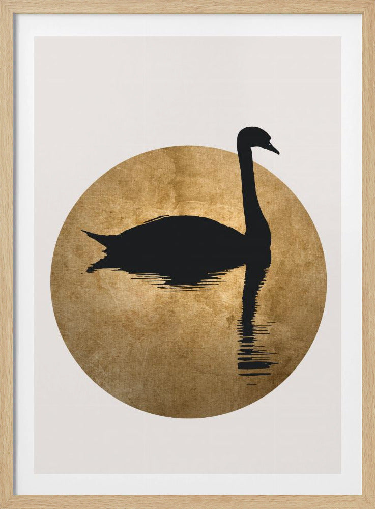 The Swan Gold | Poster