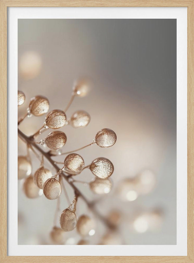 Golden Dewdrops | Poster