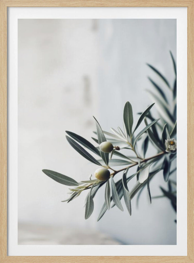 Olive Serenity | Poster
