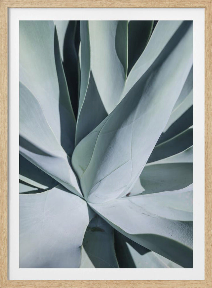 Succulent Symphony | Poster