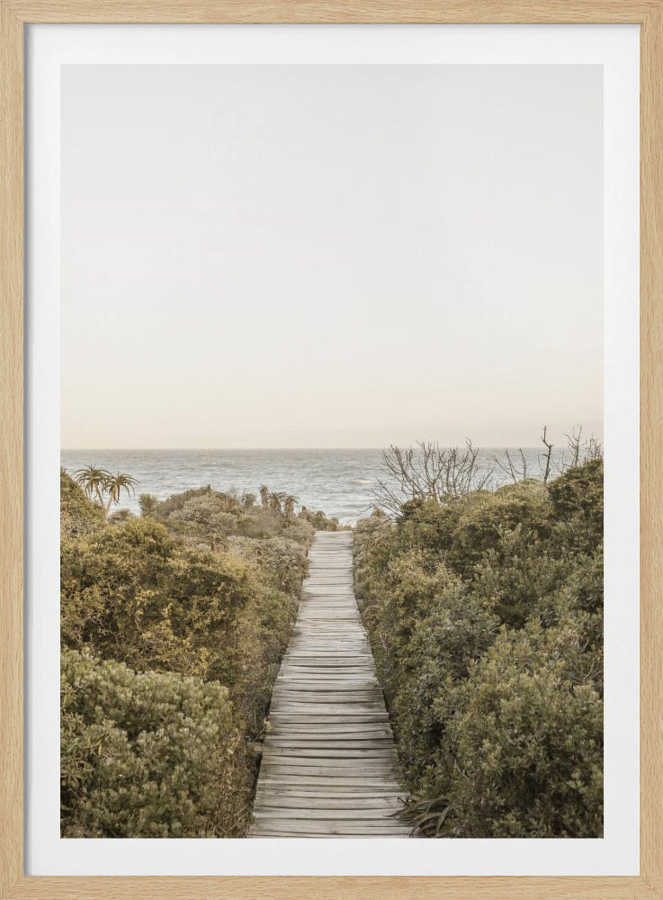 Pathway to Tranquility | Poster