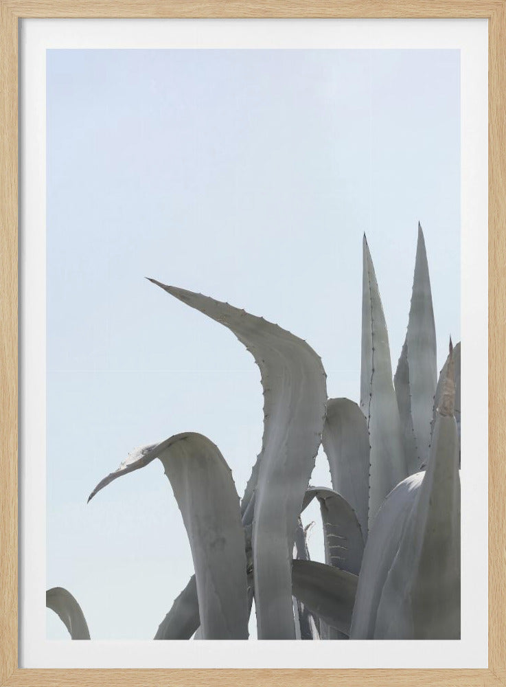 Azure Agave Dreams | Poster