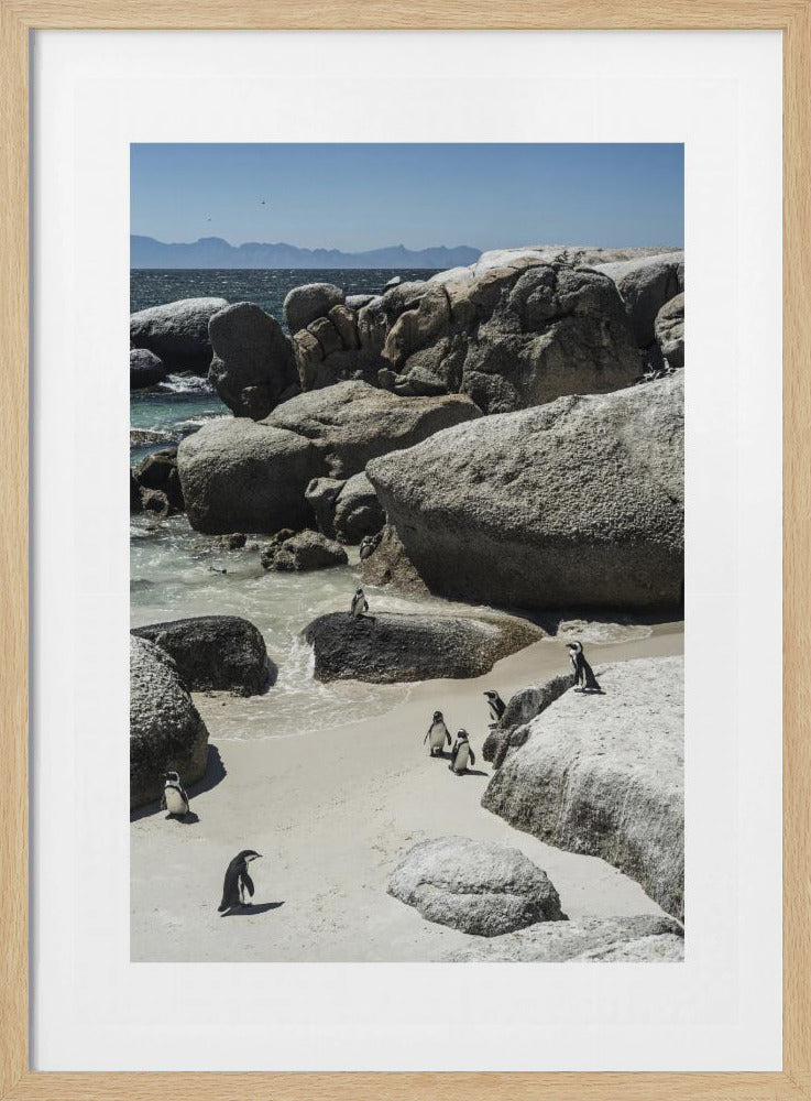 Penguins' Coastal Stroll | Poster