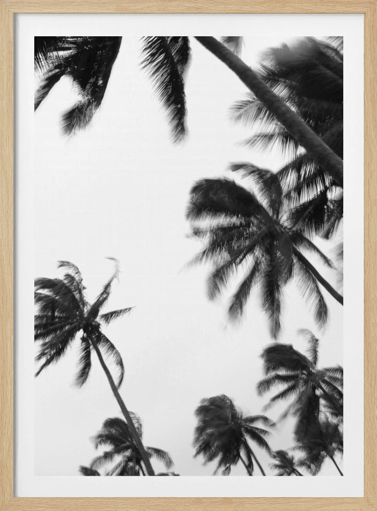 Swaying Palms | Poster