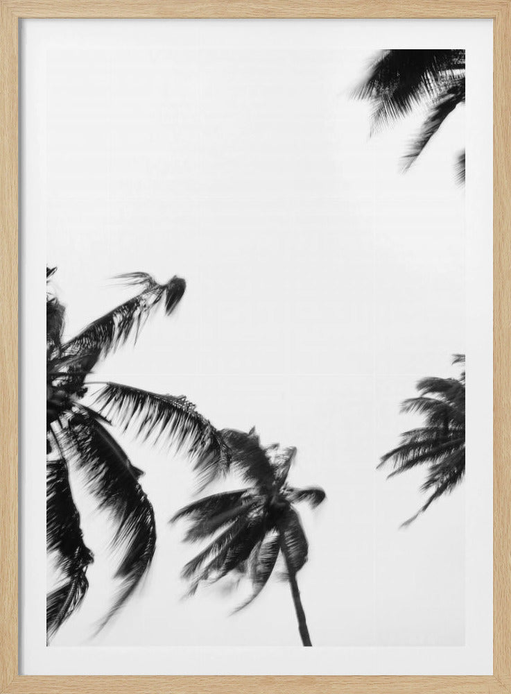 Swaying Palms | Poster