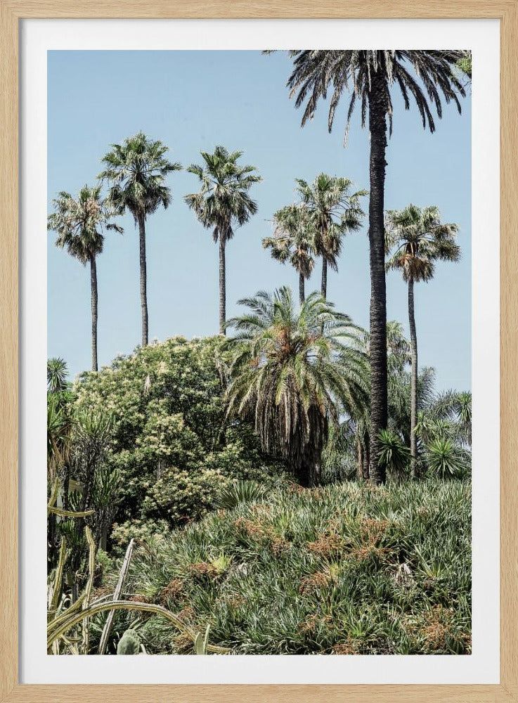 Tropical Serenity | Poster