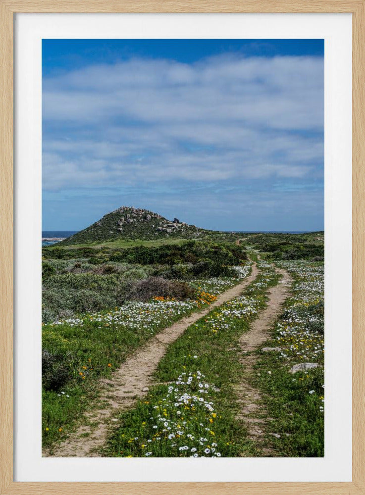 Pathway to Serenity | Poster