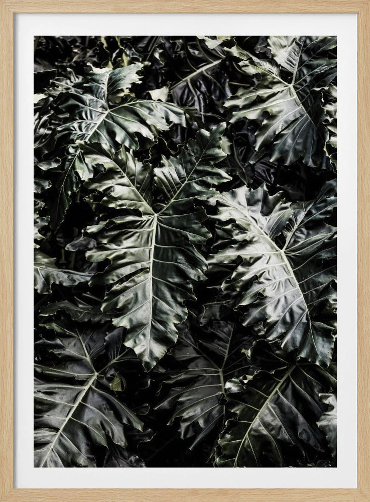 Lush Leaf Symphony | Poster