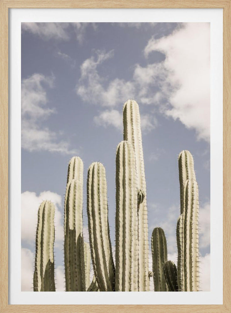 Desert Sentinels | Poster