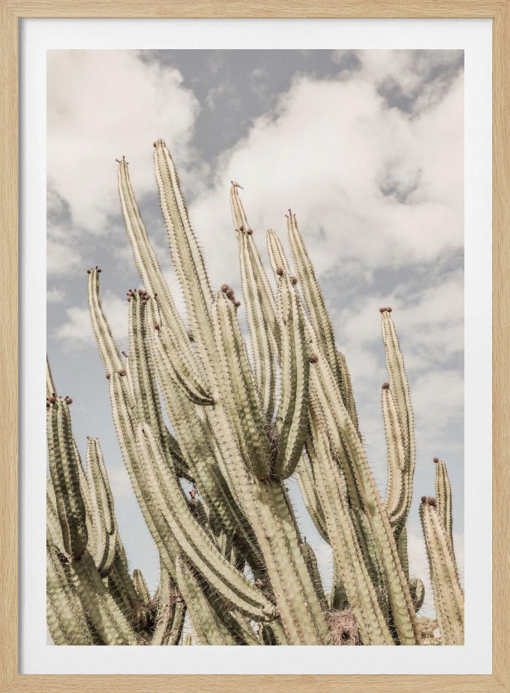Desert Sentinels | Poster