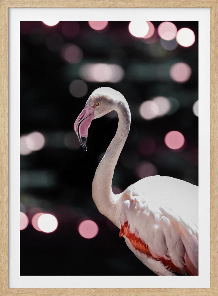 Flamingo Elegance | Poster