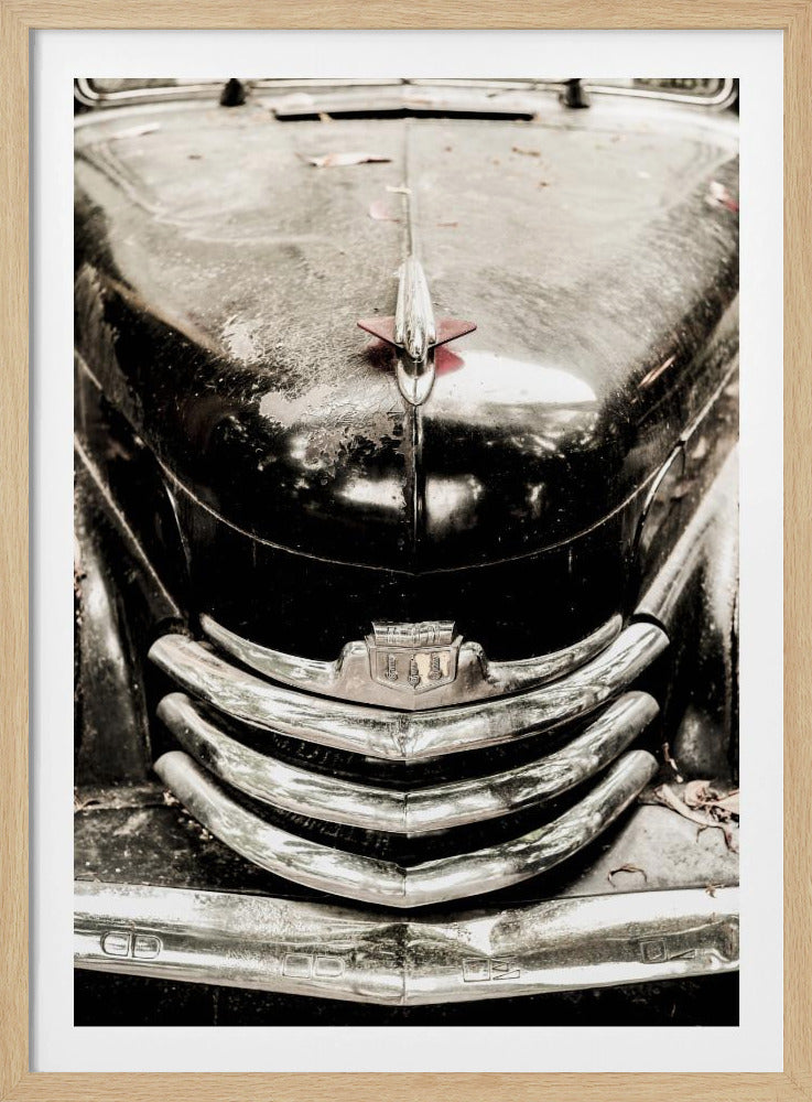 Vintage Elegance | Poster