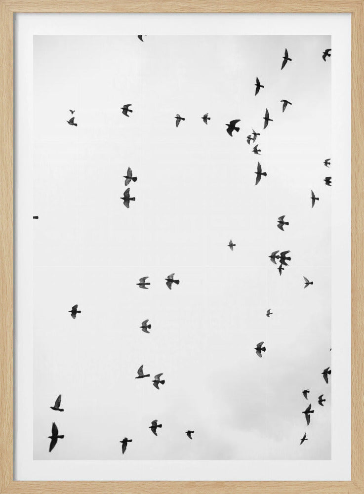 Flight in Silence | Poster