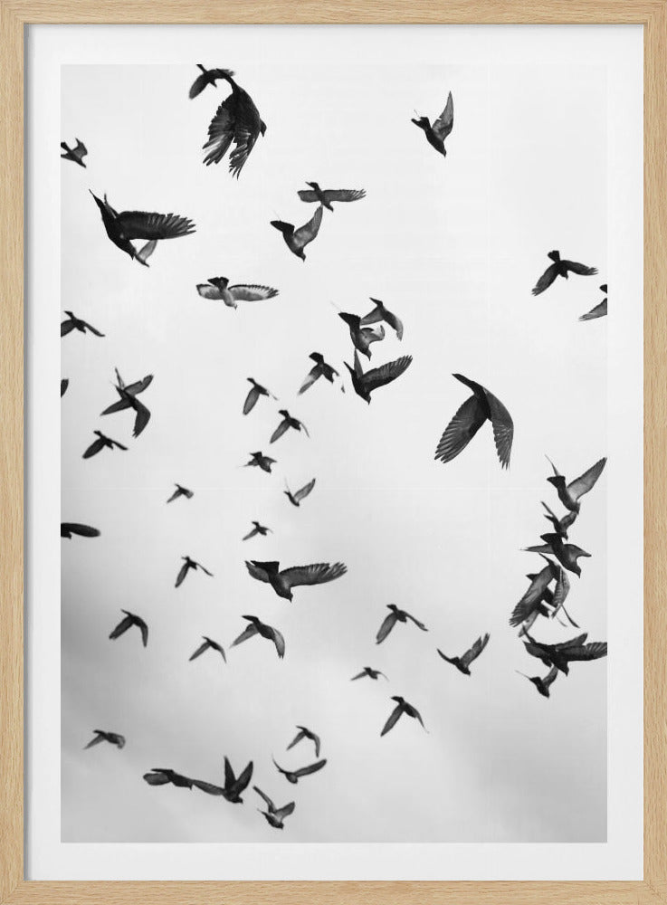 Skyward Symphony | Poster