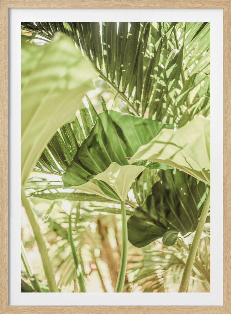 Sunlit Jungle Greens | Poster