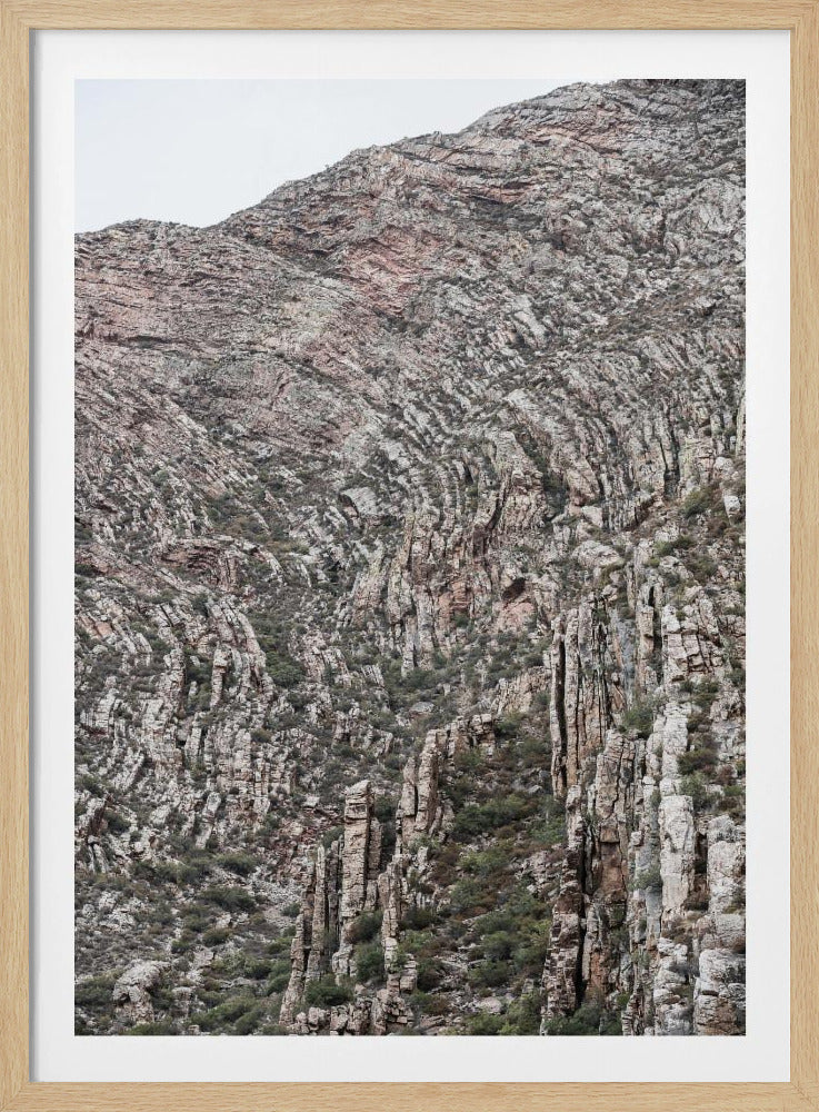 Textured Earthscape | Poster