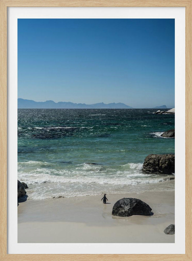 Penguin's Beach Walk | Poster