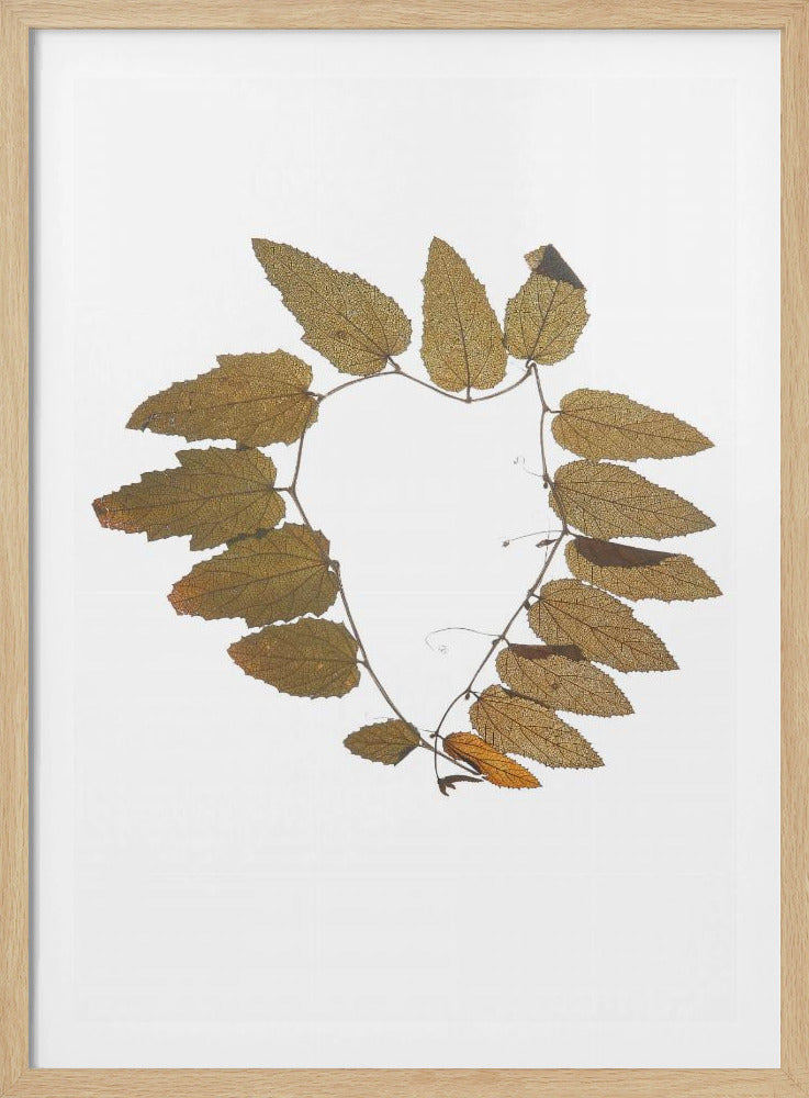 Leafy Embrace | Poster