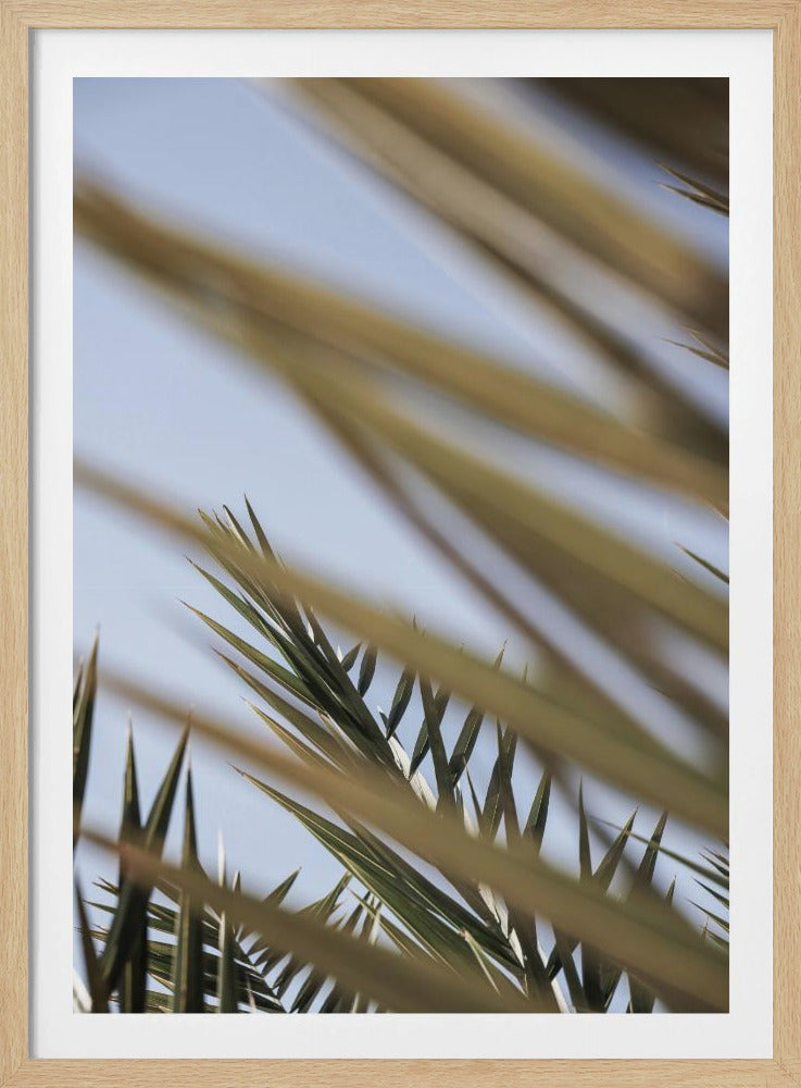 Whispering Palms | Poster