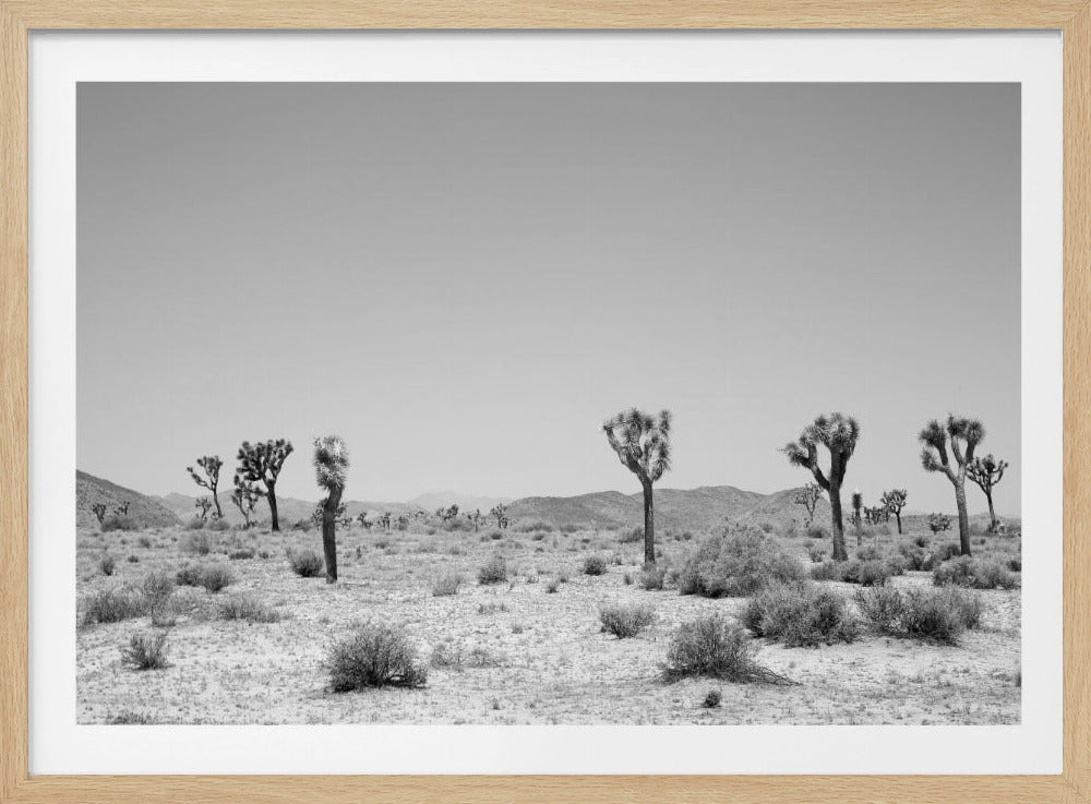 Desert Silence | Poster