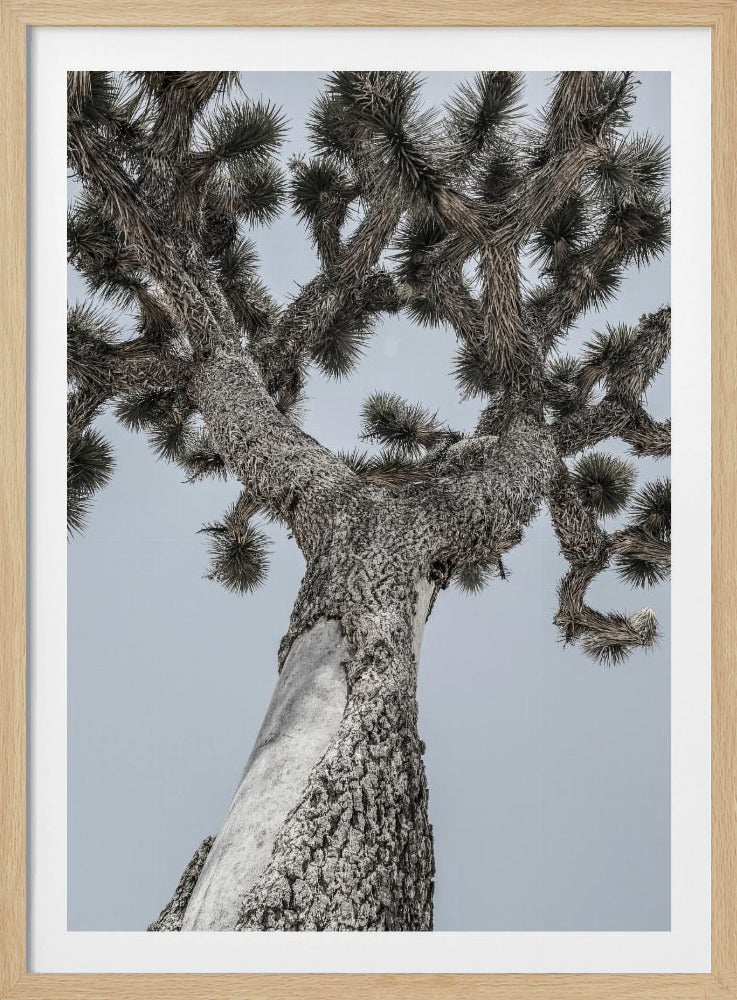 Twisting Desert Giant | Poster