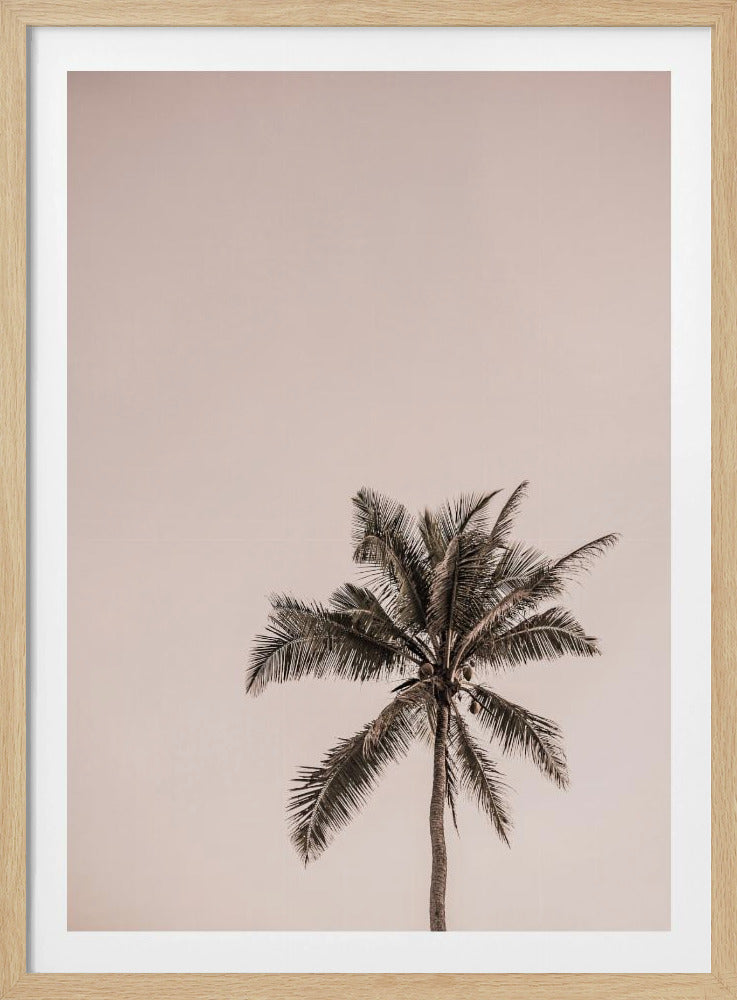 Pink Palm Serenity | Poster