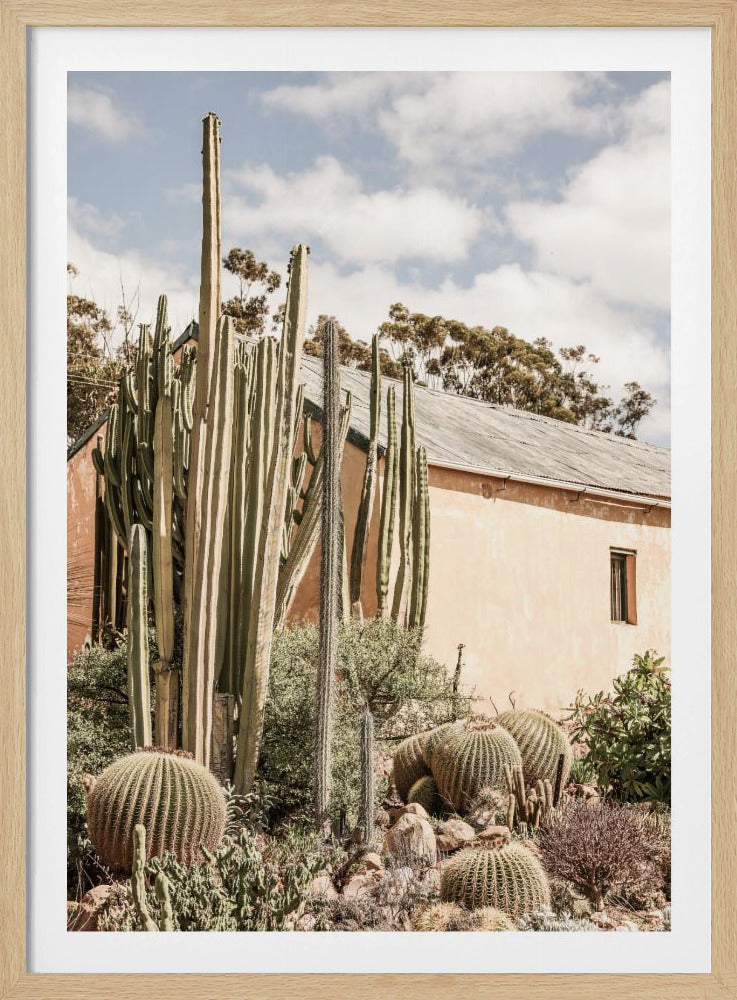 Desert Retreat | Poster