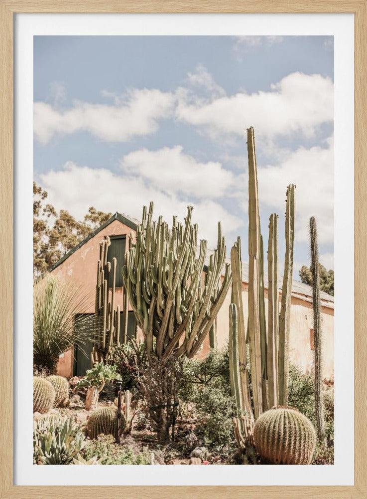 Cactus Haven | Poster