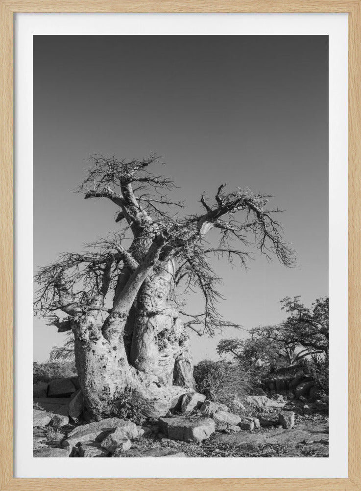 Ancient Sentinel | Poster