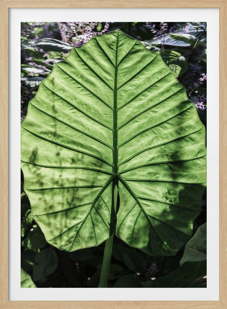 Verdant Veins | Poster