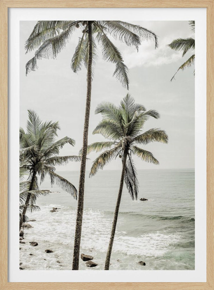 Serene Palm Coast | Poster