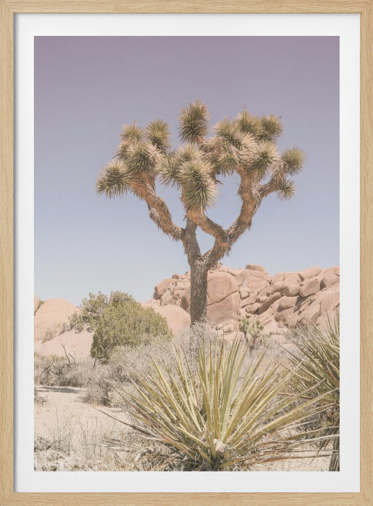 Desert Dreamscape | Poster