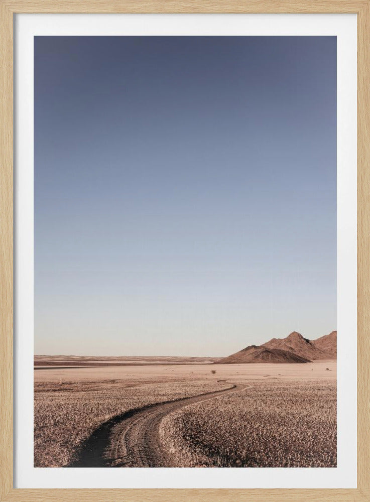 Desert Pathway | Poster